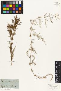 SW_BNB_s3010-02193_IMG-0000000001