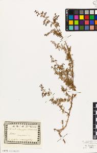 SW_BNB_s3010-02195_IMG-0000000001