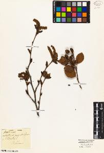 SW_BNB_s3010-02198_IMG-0000000001