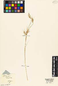 SW_BNB_s3010-02199_IMG-0000000001