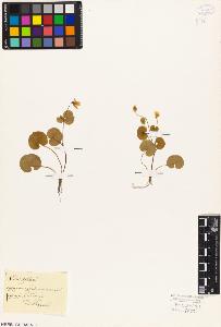 SW_BNB_s3010-02200_IMG-0000000001