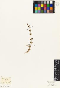 SW_BNB_s3010-02207_IMG-0000000001