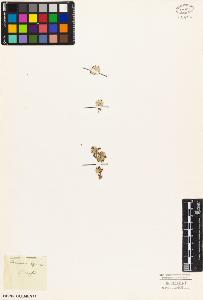 SW_BNB_s3010-02210_IMG-0000000001