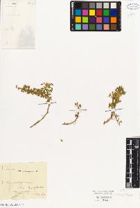 SW_BNB_s3010-02211_IMG-0000000001