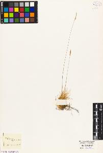SW_BNB_s3010-02222_IMG-0000000001