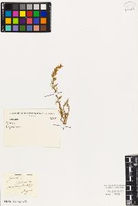 SW_BNB_s3010-02225_IMG-0000000001