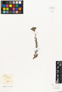 SW_BNB_s3010-02228_IMG-0000000001