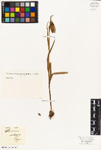 SW_BNB_s3010-02231_IMG-0000000001