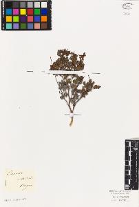SW_BNB_s3010-02233_IMG-0000000001