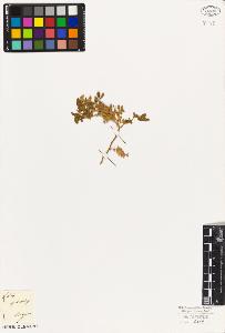 SW_BNB_s3010-02234_IMG-0000000001