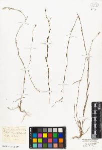 SW_BNB_s3010-02240_IMG-0000000001
