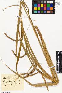 SW_BNB_s3010-02246_IMG-0000000001