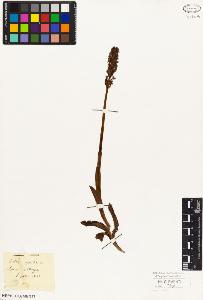 SW_BNB_s3010-02248_IMG-0000000001