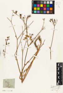SW_BNB_s3010-02260_IMG-0000000001