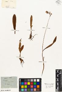 SW_BNB_s3010-02262_IMG-0000000001