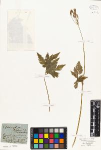 SW_BNB_s3010-02281_IMG-0000000001