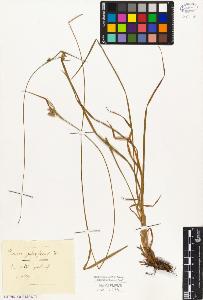 SW_BNB_s3010-02288_IMG-0000000001