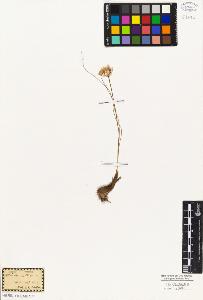 SW_BNB_s3010-02292_IMG-0000000001