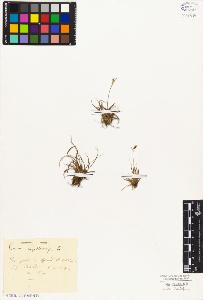 SW_BNB_s3010-02294_IMG-0000000001