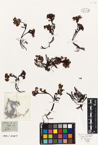 SW_BNB_s3010-02296_IMG-0000000001