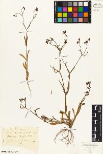 SW_BNB_s3010-02297_IMG-0000000001