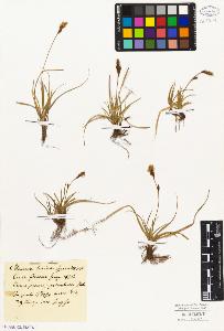 SW_BNB_s3010-02303_IMG-0000000001