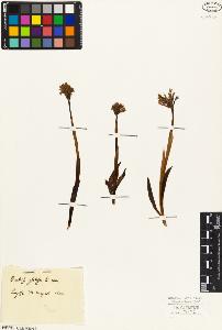 SW_BNB_s3010-02306_IMG-0000000001