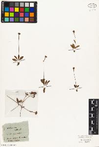 SW_BNB_s3010-02310_IMG-0000000001