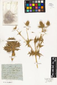 SW_BNB_s3010-02314_IMG-0000000001