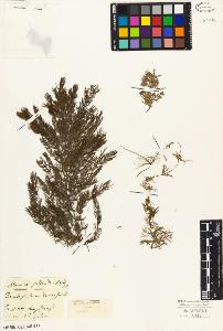 SW_BNB_s3010-02315_IMG-0000000001