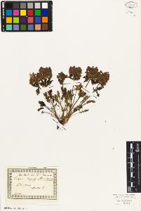 SW_BNB_s3010-02316_IMG-0000000001