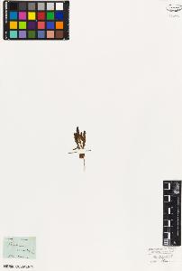 SW_BNB_s3010-02321_IMG-0000000001
