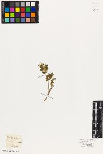 SW_BNB_s3010-02322_IMG-0000000001