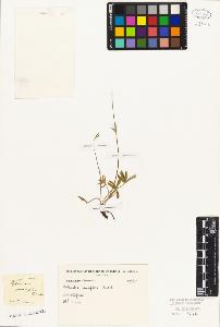 SW_BNB_s3010-02324_IMG-0000000001