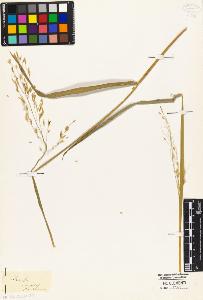SW_BNB_s3010-02325_IMG-0000000001