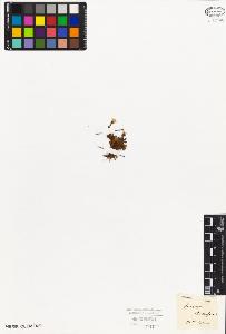 SW_BNB_s3010-02326_IMG-0000000001