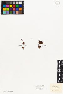 SW_BNB_s3010-02327_IMG-0000000001