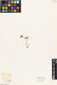 SW_BNB_s3010-02329_IMG-0000000001
