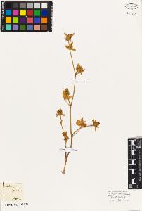 SW_BNB_s3010-02330_IMG-0000000001