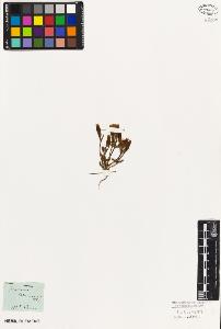 SW_BNB_s3010-02331_IMG-0000000001