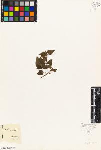 SW_BNB_s3010-02333_IMG-0000000001