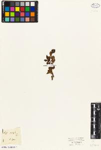 SW_BNB_s3010-02334_IMG-0000000001
