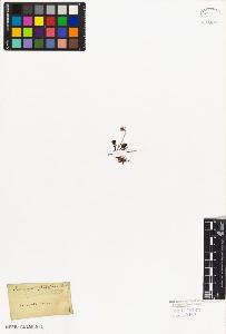 SW_BNB_s3010-02335_IMG-0000000001