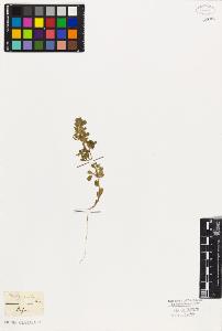 SW_BNB_s3010-02337_IMG-0000000001