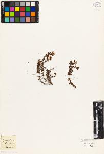 SW_BNB_s3010-02339_IMG-0000000001