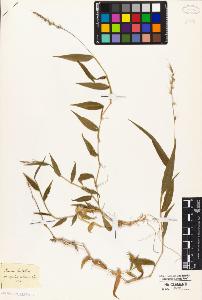 SW_BNB_s3010-02344_IMG-0000000001