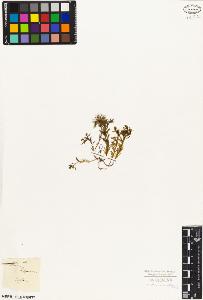 SW_BNB_s3010-02345_IMG-0000000001