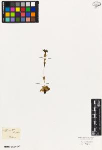 SW_BNB_s3010-02349_IMG-0000000001