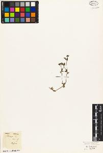 SW_BNB_s3010-02350_IMG-0000000001