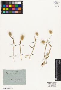 SW_BNB_s3010-02352_IMG-0000000001